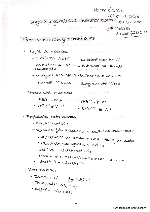 Miniatura del documento resumenexamenAyGII.pdf