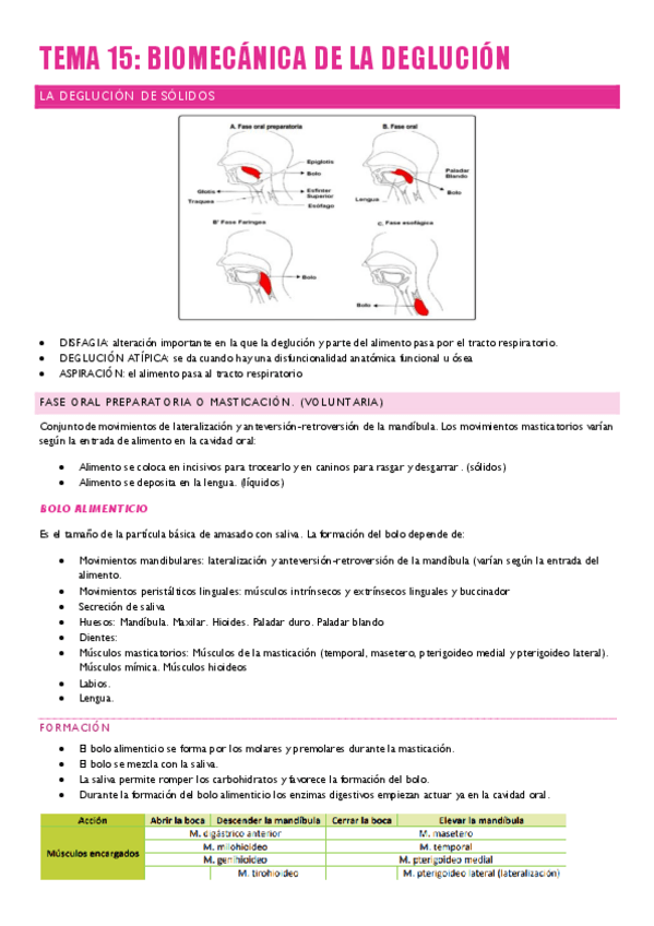Miniatura del documento ANATOMIA-Y-FISIOLOGIA-DE-LOS-ORGANOS-DEL-LENGUAJE-66-68.pdf