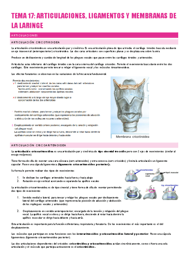 Miniatura del documento ANATOMIA-Y-FISIOLOGIA-DE-LOS-ORGANOS-DEL-LENGUAJE-73-75.pdf