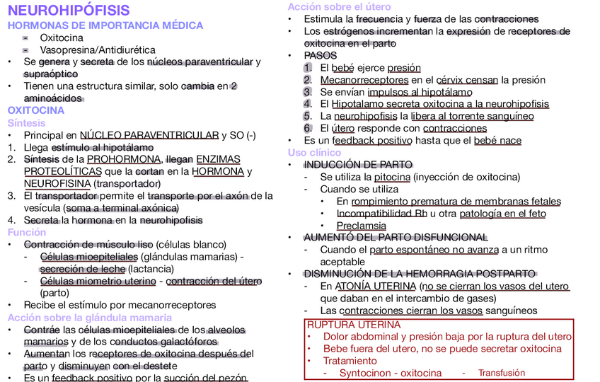 Miniatura del documento NEUROHIPOFISIS.pdf