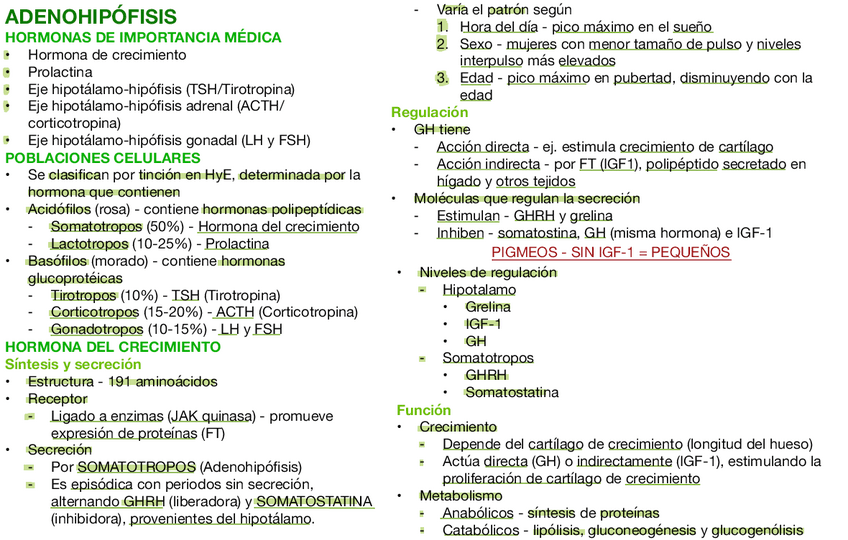 Miniatura del documento ADENOHIPOFISIS.pdf