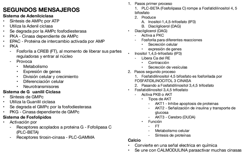 Miniatura del documento Segundos-Mensajeros.pdf