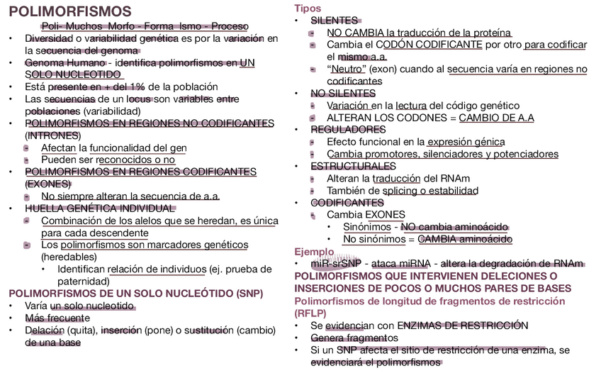Miniatura del documento POLIMORFISMOS.pdf