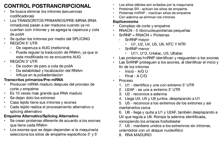 Miniatura del documento Regulacion-Post-transcripcional.pdf