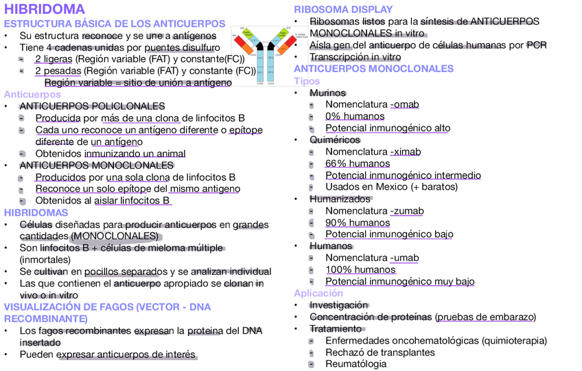 Miniatura del documento HIBRIDOMA.pdf