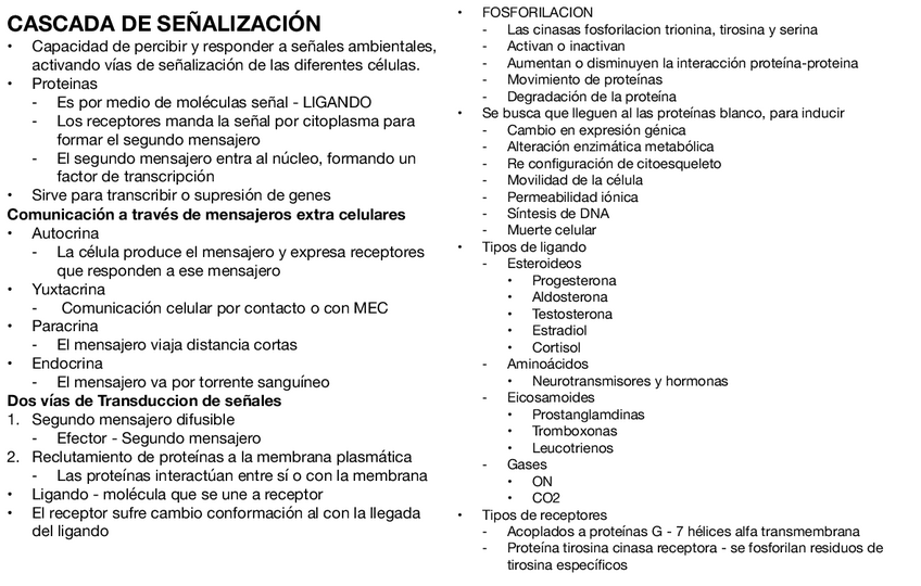 Miniatura del documento Cascada-De-Senalizacion.pdf