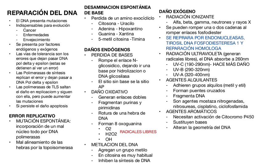 Miniatura del documento Dano-y-Reparacion.pdf
