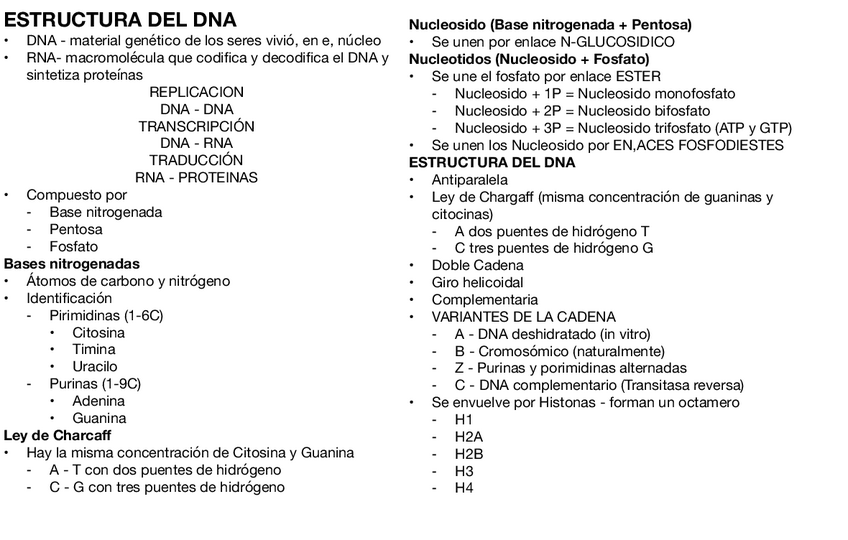 Miniatura del documento Estructura-DNA-Y-RNA.pdf