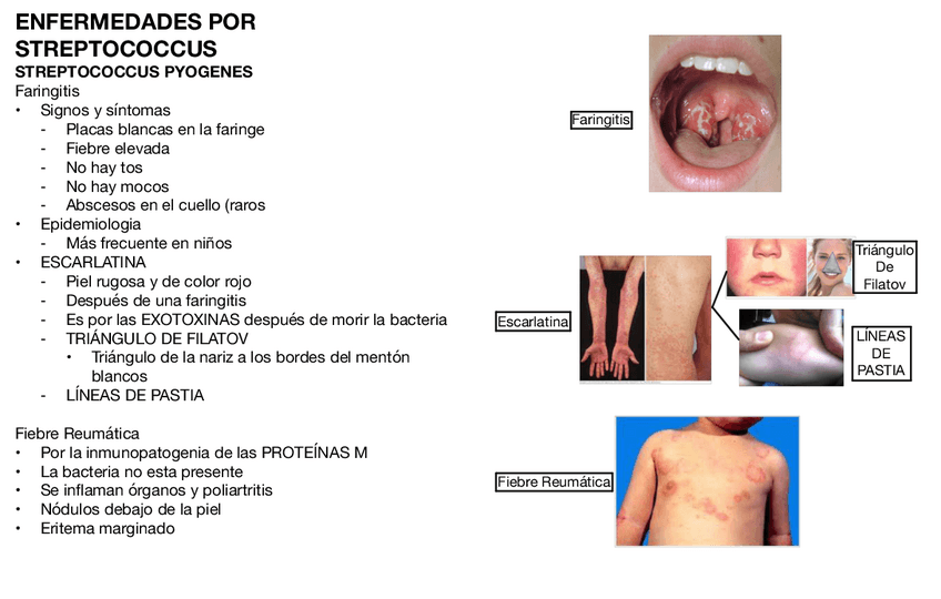 Miniatura del documento ENFERMEDADES-POR-ESTREPTOCOCOS.pdf
