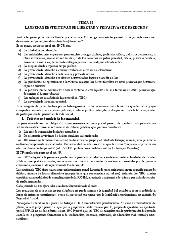 Miniatura del documento IDP-TEMA-10.pdf