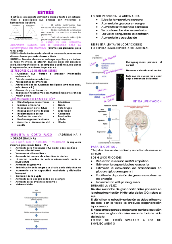 Miniatura del documento biologia.pdf