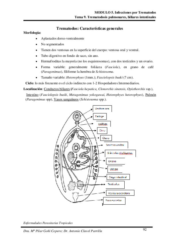 Miniatura del documento Tema-9.pdf