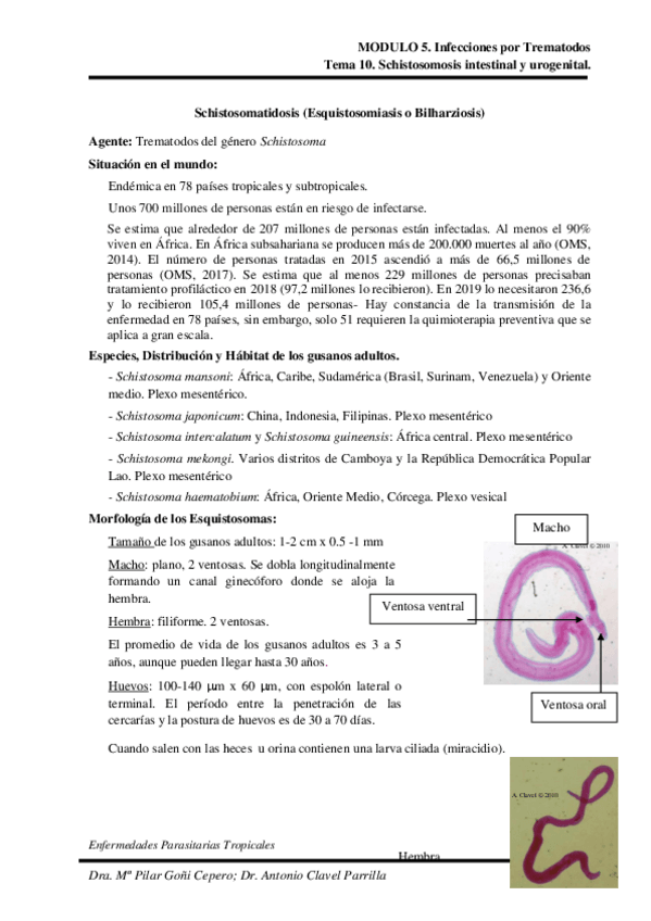 Miniatura del documento Tema-10.pdf
