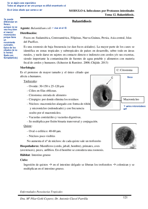 Miniatura del documento Tema-12.pdf