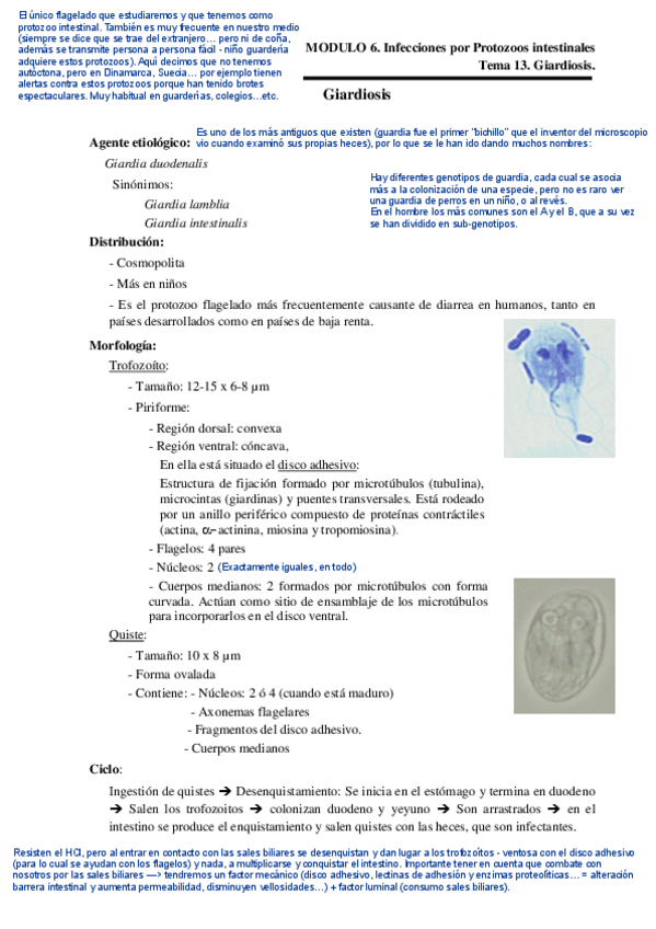 Miniatura del documento Tema-13.pdf