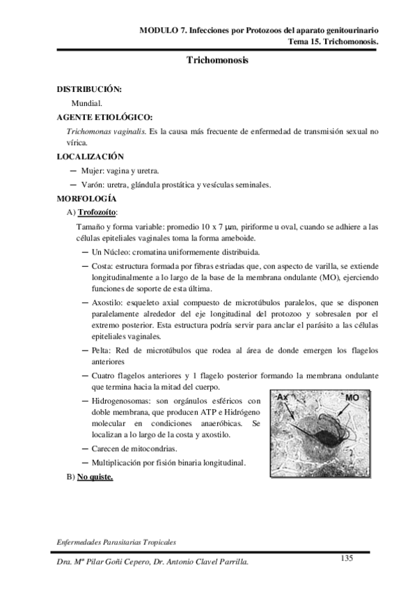 Miniatura del documento Tema-15.pdf