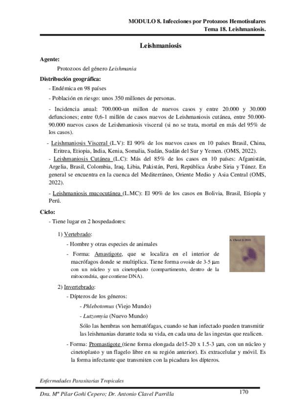 Miniatura del documento Tema-18.pdf