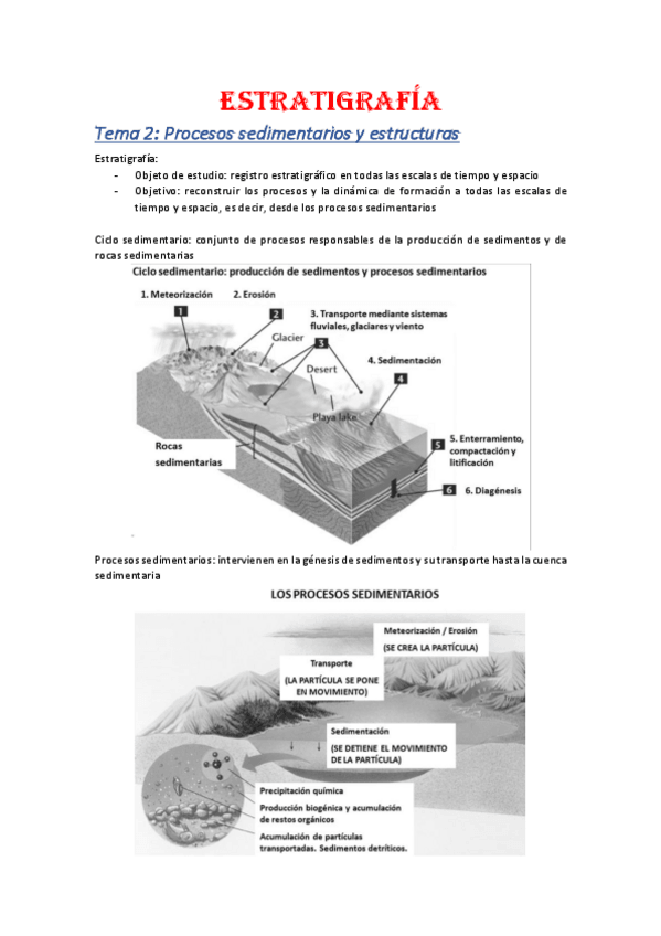 Miniatura del documento Apuntes-Estratigrafia-primer-parcial.pdf