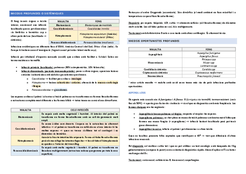 Miniatura del documento Micosis-profundes.pdf