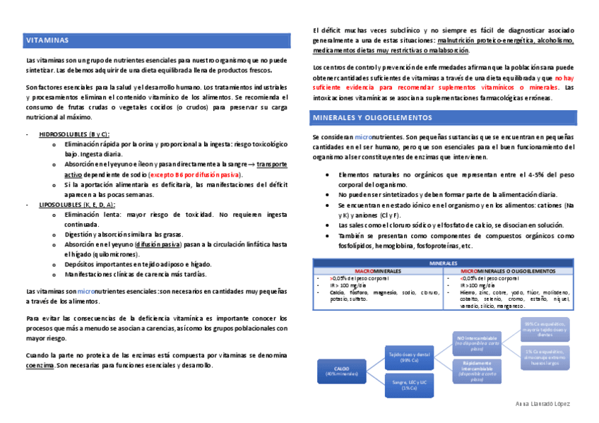 Miniatura del documento Vitaminas-y-minerales.pdf