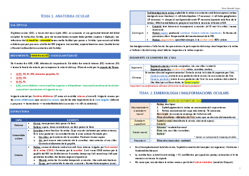 Miniatura del documento Resum-oftalmo.pdf
