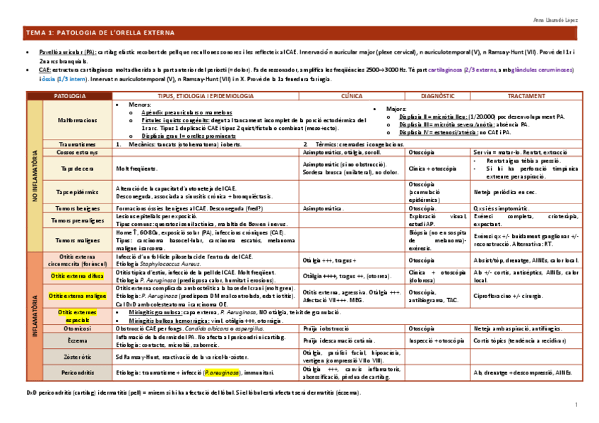 Miniatura del documento Resum-ORL.pdf