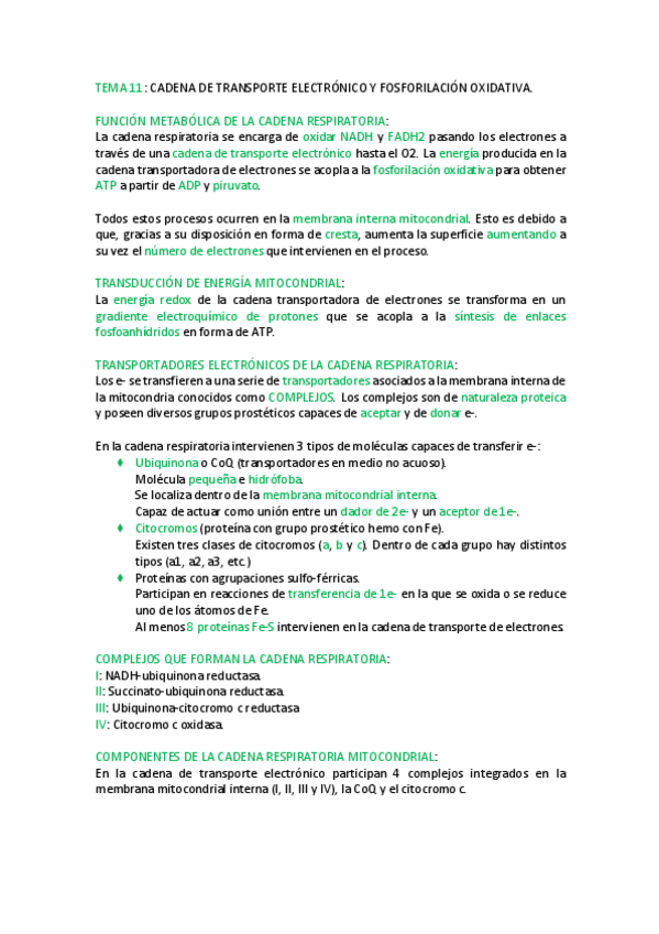 Miniatura del documento TEMA-11-Cadena-de-transporte-electronico-y-fosforilacion-oxidativa.pdf