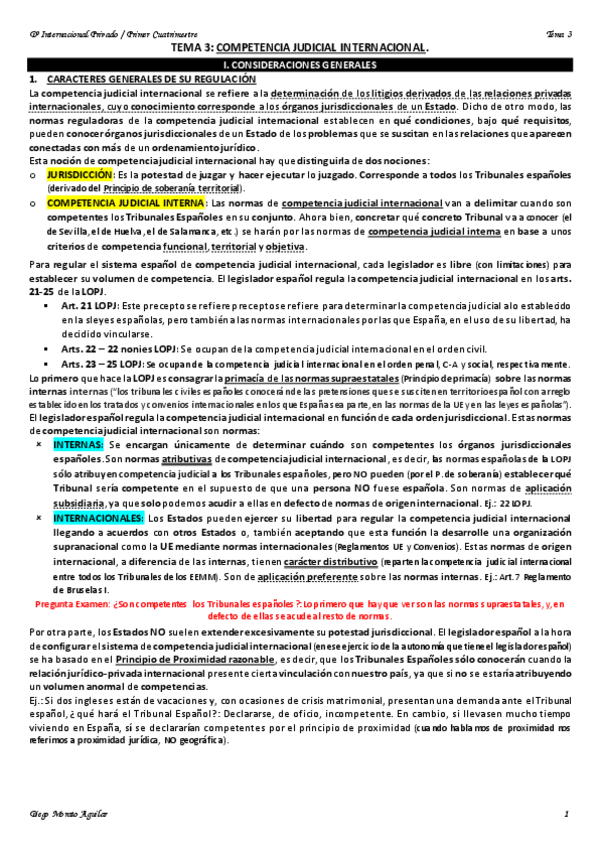 Miniatura del documento TEMA 3 INTERNACIONAL PRIVADO.pdf