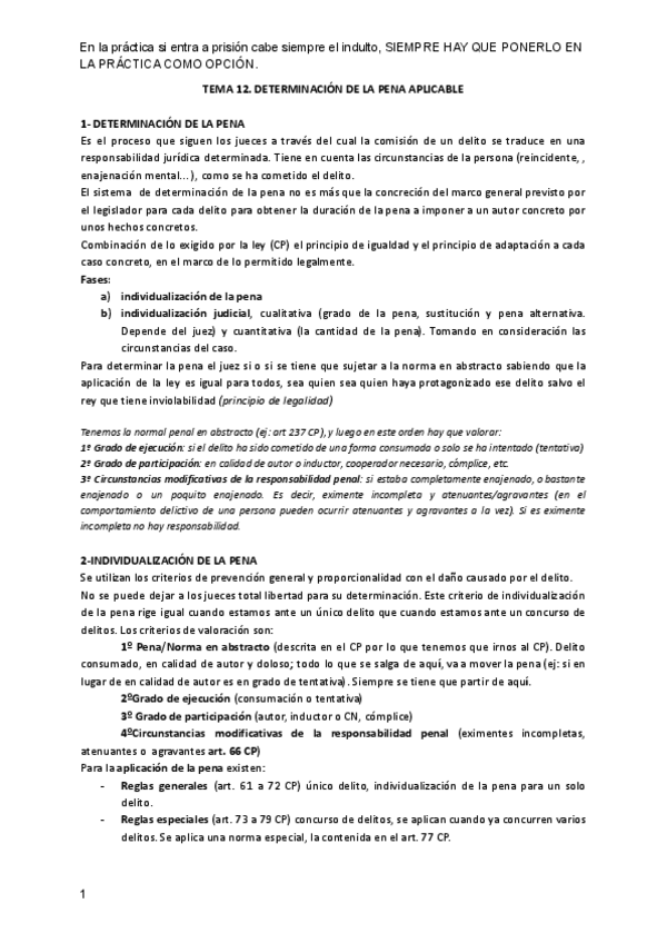 Miniatura del documento Tema-12-penal.pdf