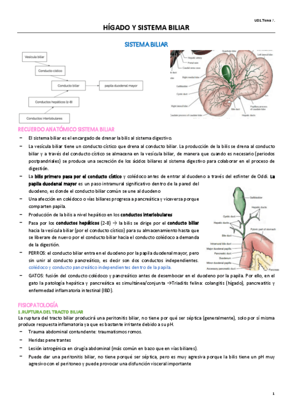 Miniatura del documento UD1T7CIRUGIA.pdf