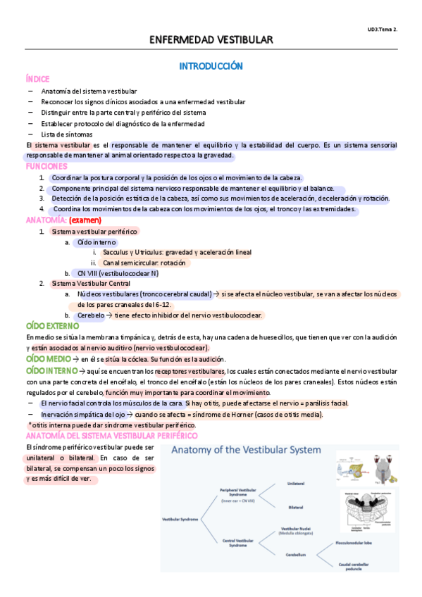Miniatura del documento UD3.T2.pdf