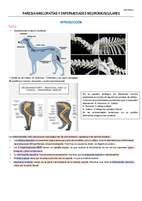 Miniatura del documento UD3.T3.pdf