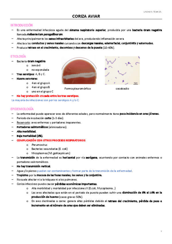 Miniatura del documento UD3TEMA-25.pdf