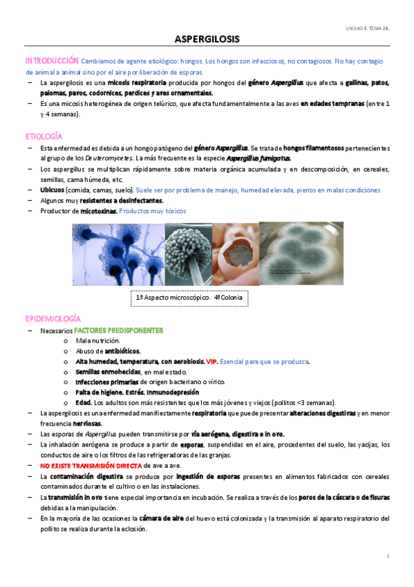 Miniatura del documento UD3TEMA-28.pdf