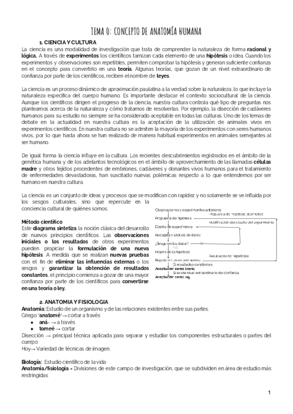 Miniatura del documento ANATOMIA.pdf