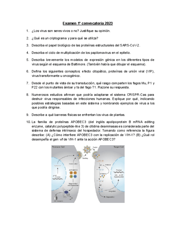 Miniatura del documento Examen-Enero-2023.pdf