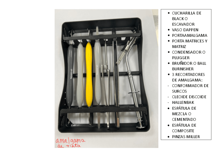 Miniatura del documento BANDEJA 1-AMALGAMA-DE-PLATA-Y-COMPOSITE-MRL.pdf