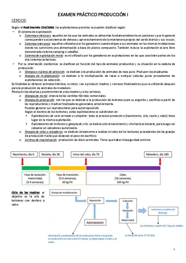 Miniatura del documento PRACTICO.pdf