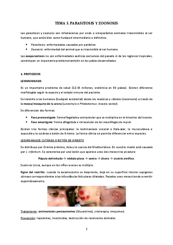 Miniatura del documento T3-Parasitosis-y-zoonosis.pdf