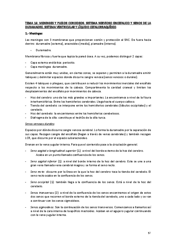 Miniatura del documento TEMA-16-23-ANATOMIA.pdf