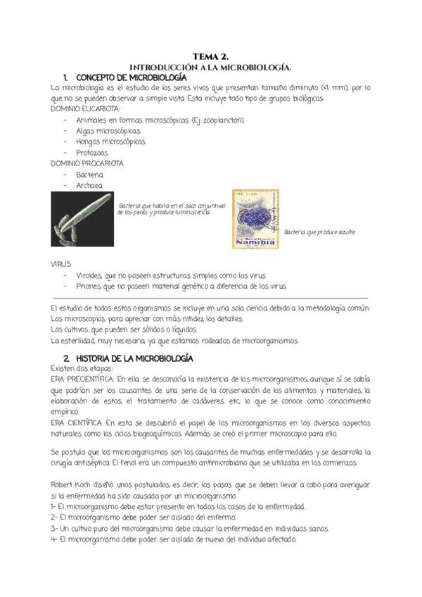 Miniatura del documento TEMA-2.-MICROBIOLOGIA.pdf