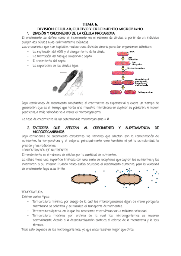 Miniatura del documento TEMA-6.-MICROBIOLOGIA.pdf
