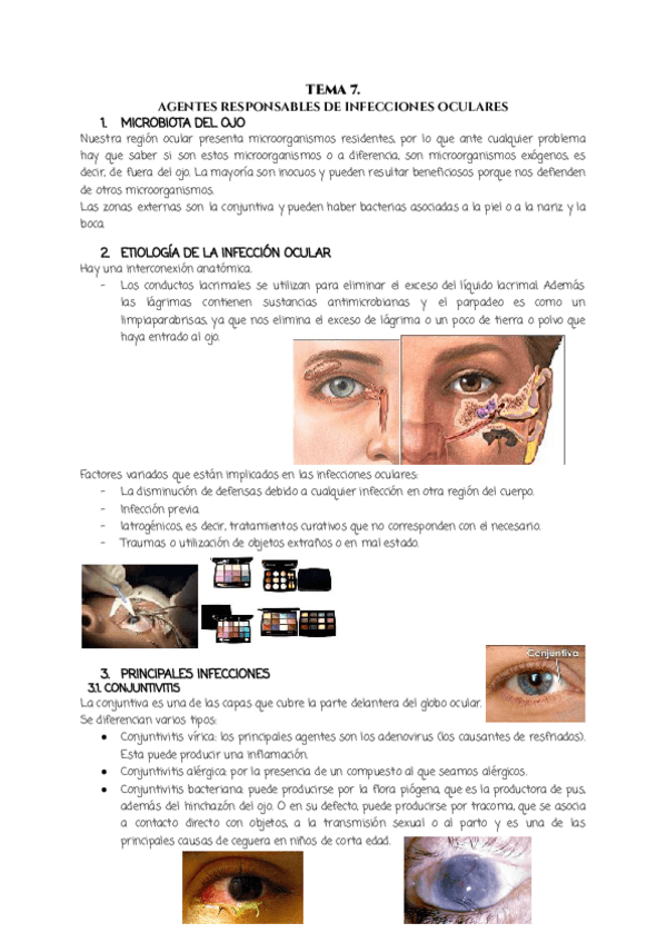 Miniatura del documento TEMA-7.-MICROBIOLOGIA.pdf