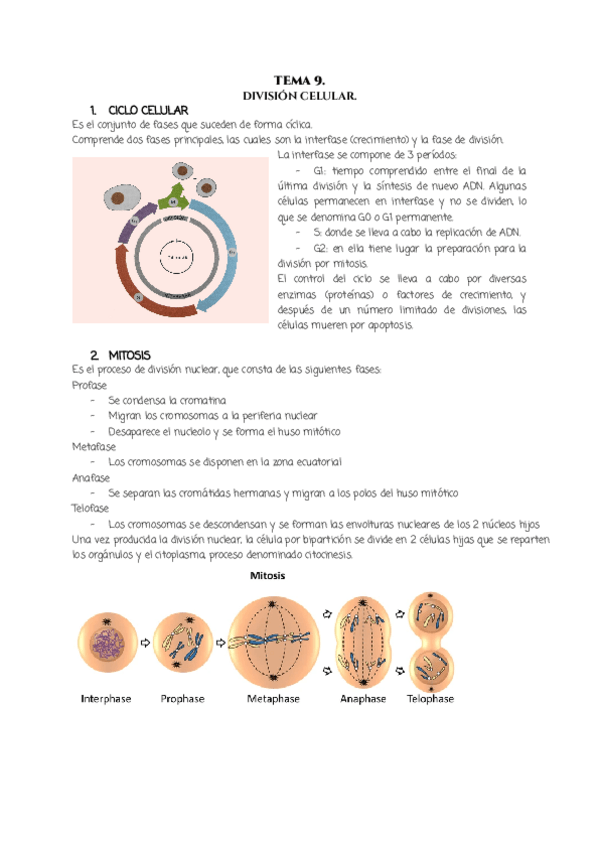 Miniatura del documento TEMA-9..pdf