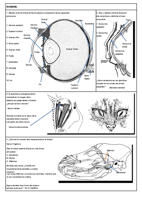 Miniatura del documento PABLO.pdf