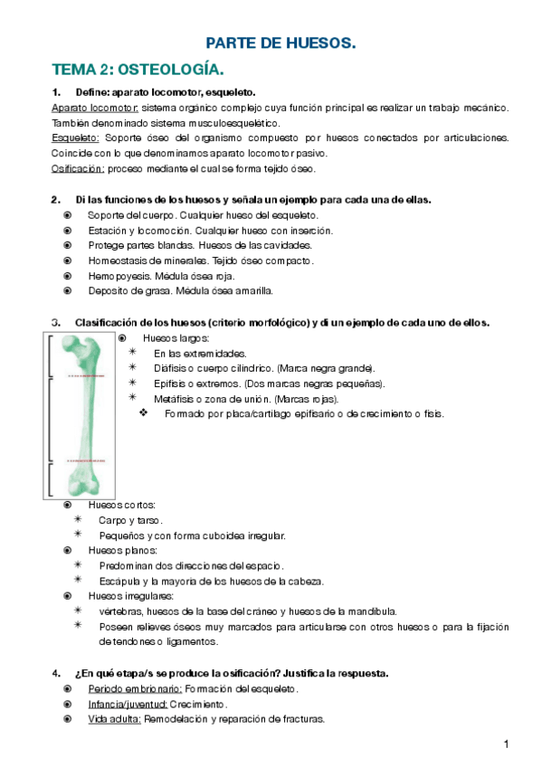 Miniatura del documento PARTE-DE-HUESOS.pdf