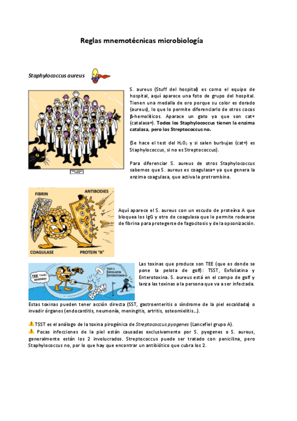 Miniatura del documento Reglas-mnemotecnicas-microbiologia-dibujos.pdf