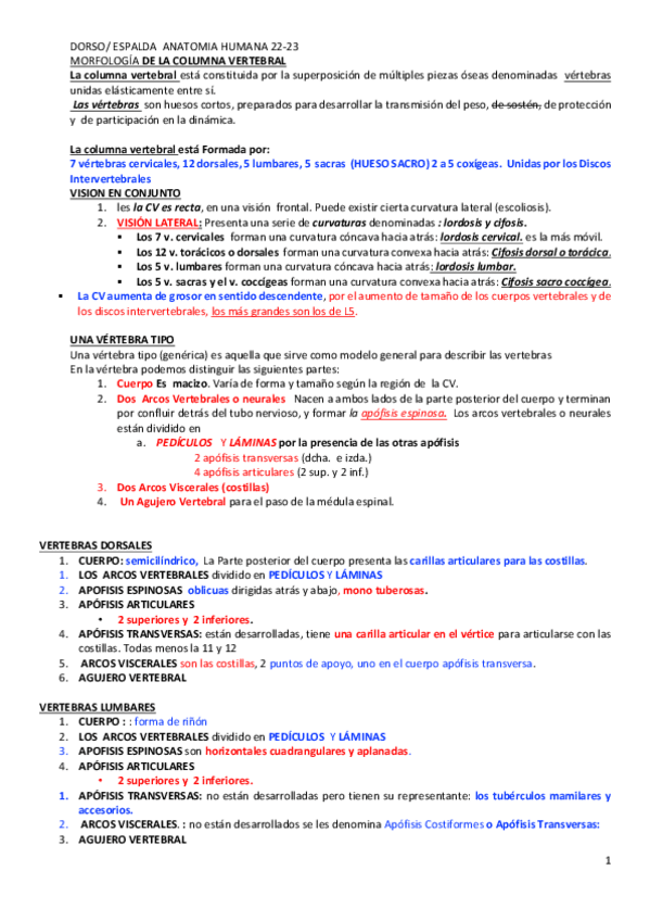 Miniatura del documento Esquemq-tema-2-DORSO.-ESPALDA-22-23-VERTEBRAS.pdf