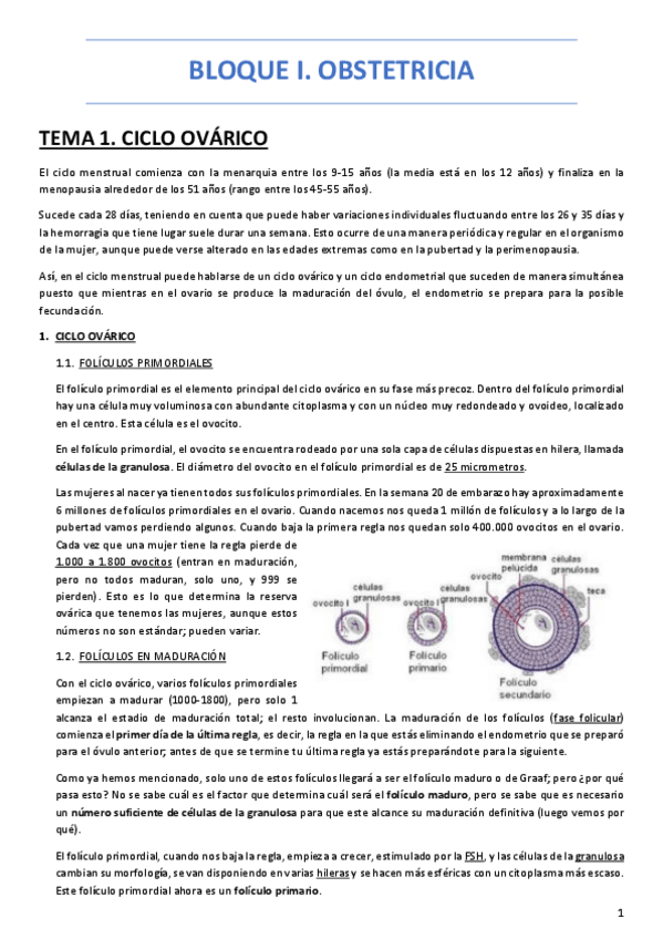 Miniatura del documento OBSTETRICIA-COMPLETA-MH.pdf