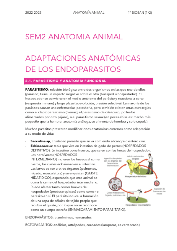 Miniatura del documento SEM2-ANATO.pdf